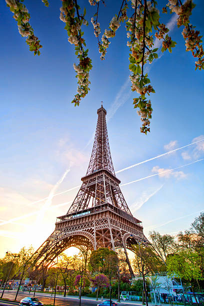 istock Eiffel Tower during spring time in Paris, france 503097833