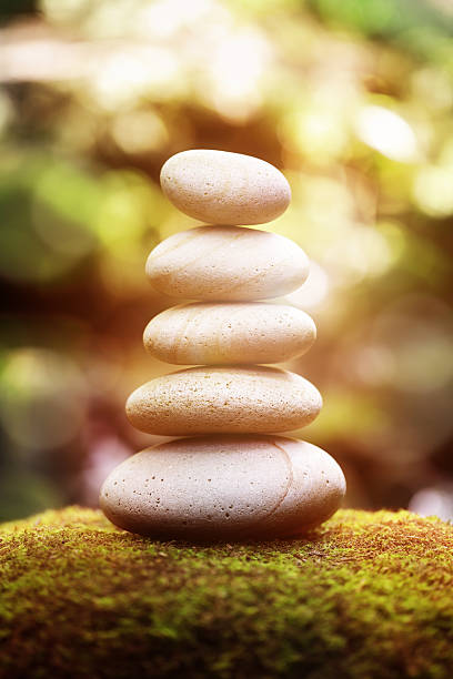 istock Balance and harmony in nature 503098933