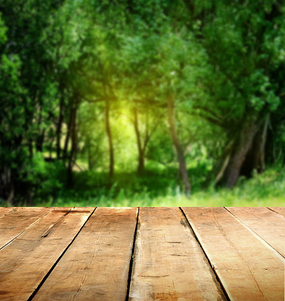 istock summer background with wooden planks 503099319