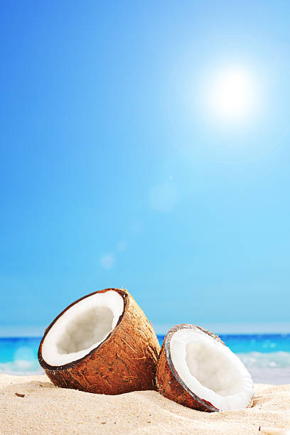 istock An opened coconut by the ocean on a sunny day 503099367