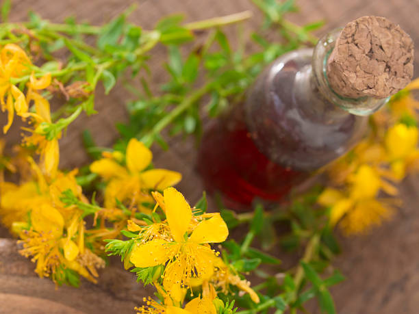 ziele dziurawca zwyczajnego - st johns wort zdjęcia i obrazy z banku zdjęć