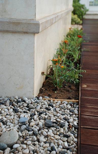 istock garden detail 503099965