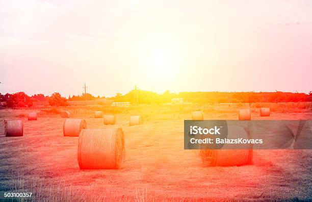 Vintage Photo Of Wheat Bales In Sunset Stock Photo - Download Image Now - Agricultural Field, Agriculture, Autumn