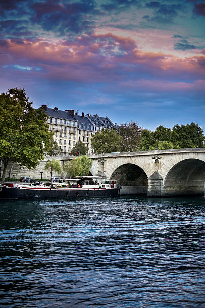 istock Paris, view of the Seine 503100787