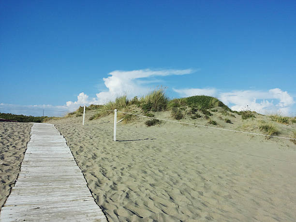 Wooden boardwalk through the dunes on the beach stock photo