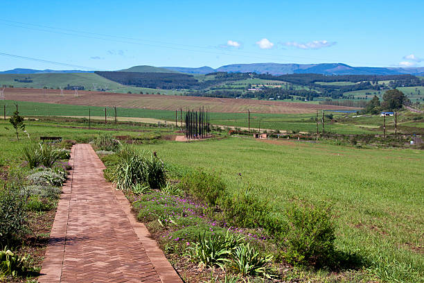 ungewöhnlicher fußweg zum metall scuplture von nelson mandela im howick - african national congress stock-fotos und bilder