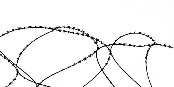 istock Loops of Razor Wire Against a White Background 503102689