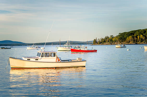 istock Fishing Boats at Sunset 503104782