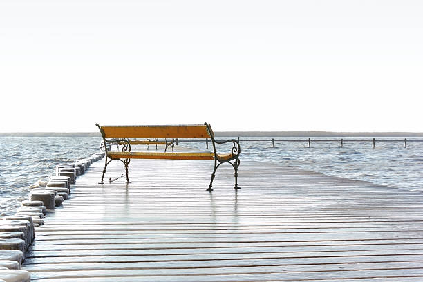 istock Lake Neusiedl 503105034
