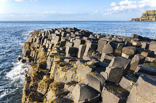 istock Giants Causeway in Northern Ireland 503109380