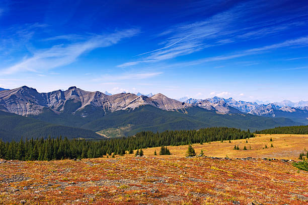 istock View from Jumpingpound Mountain in Kananaskis Country,Alberta,Canada. 503110816