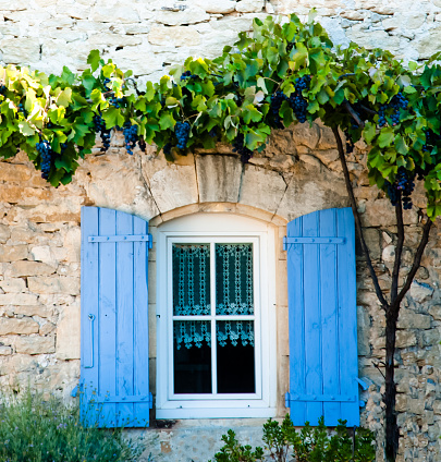 French stone farmhouse near Gordes with picturesque blue shuttered window and grapevine surrounding it 