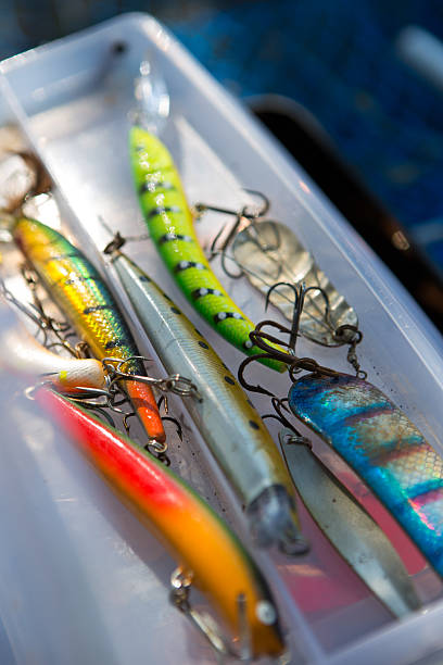 istock Box With Fishing Hooks And Equipment 503112523
