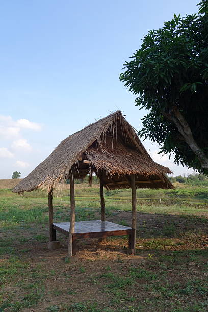 istock Thai traditional temporary shelter 503113556