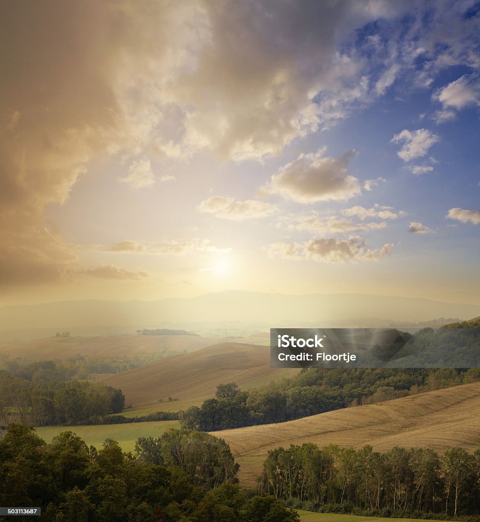 Italy: Tuscany More Photos like this here... Agricultural Field Stock Photo