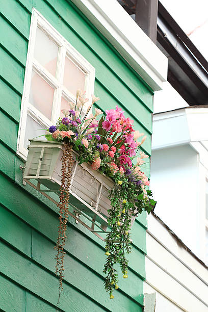 istock Window decorated with fresh flowers in box 503113783