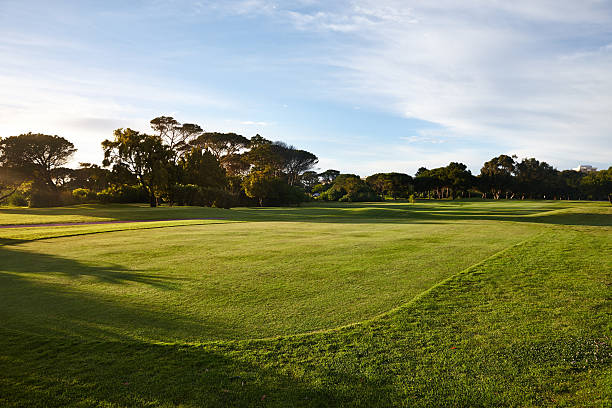 é um grande dia para golfe - golf golf course sunrise morning imagens e fotografias de stock