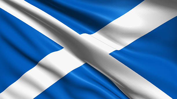 istock flag of Scotland 503114165