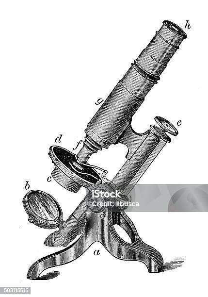 アンティークのイラスト顕微鏡 - 顕微鏡のベクターアート素材や画像を多数ご用意 - 顕微鏡, 古い, 彫刻画
