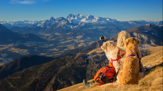 Women with her dogs  makes Selfie with mount Dachstein in background