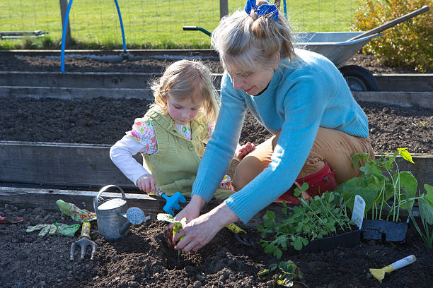 istock Mother and Daughter Gardening 503117085