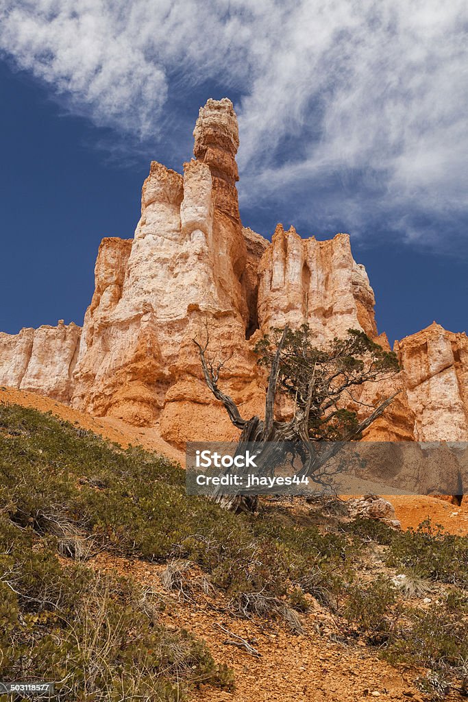 Bryce National Park Queen Victoria Hoodoo, Looking up from the canyon floor at Bryce National Park, Utah Architectural Column Stock Photo