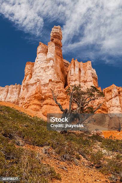 Bryce National Park Stock Photo - Download Image Now - Architectural Column, Bryce Canyon National Park, Eroded
