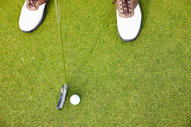 istock Only place the grass is greener 503118587