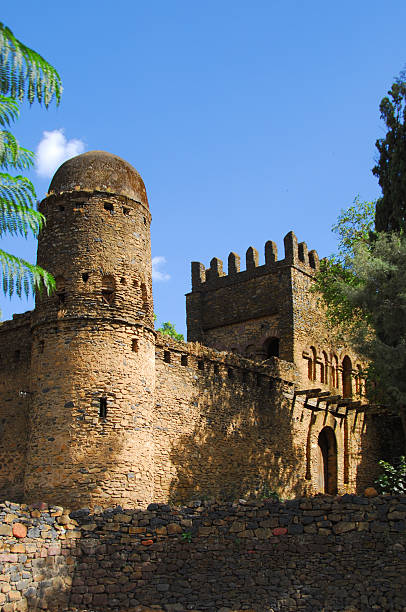 istock Gondar, Ethiopia: Fasil Ghebbi, the Royal Enclosure 503118725
