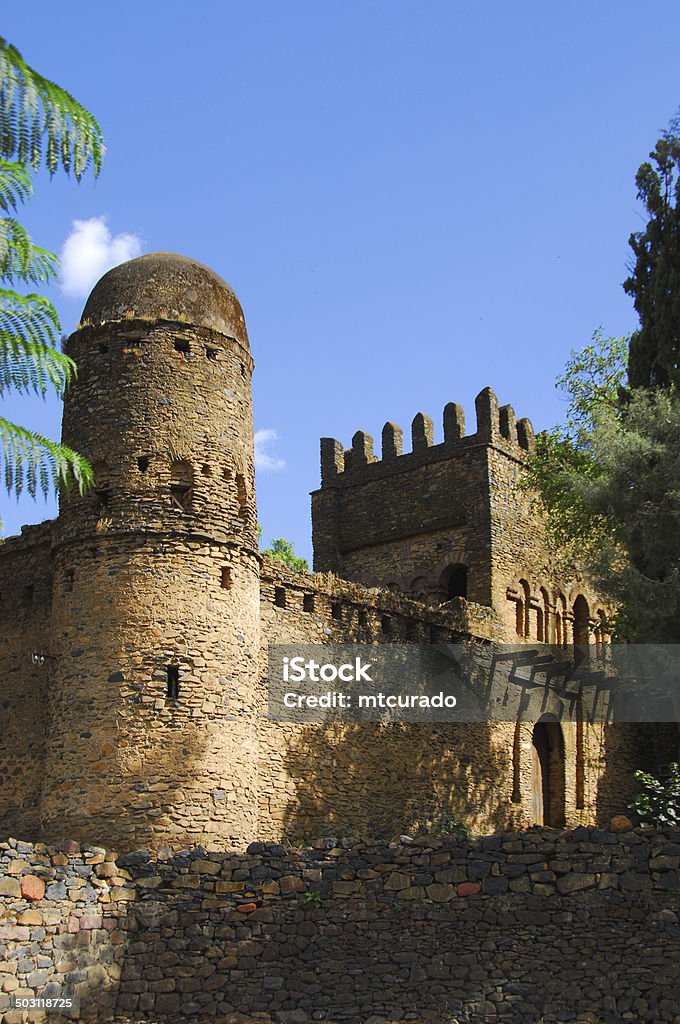 Gondar, Ethiopia: Fasil Ghebbi, the Royal Enclosure Gondar, Amhara Region, Ethiopia: Fasil Ghebbi, the Royal Enclosure - walls - round tower covered with enkulal top - UNESCO World Heritage Site - photo by M.Torres Acacia Tree Stock Photo