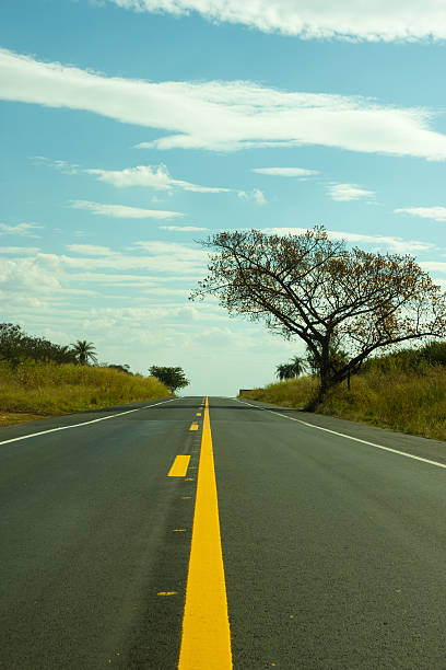 istock Straight road touching the sky 503119439