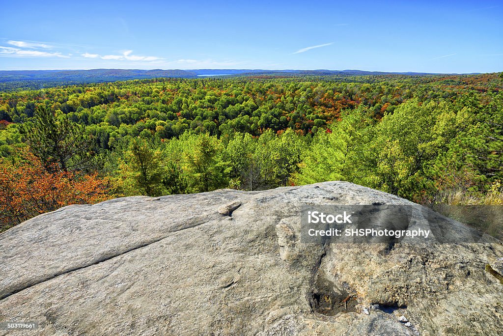 Forest View from Above A high wide angle view, over a cliff, of tree tops in a forest during the autumn season. Algonquin Provincial Park Stock Photo