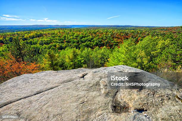 Forest View From Above Stock Photo - Download Image Now - Algonquin Provincial Park, Above, Angle