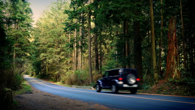 Car And Pickup Drive Through National Park