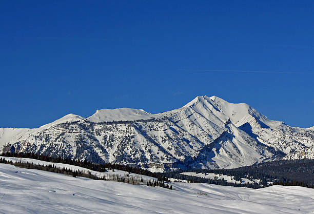 istock Doubletop Mountain Summit in the Gros Ventre Range 503130124