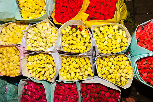 istock roses offered at the flower market 503130134