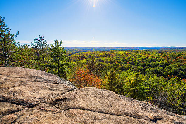 istock Rocky Cliff High Above the Tree Tops 503132067