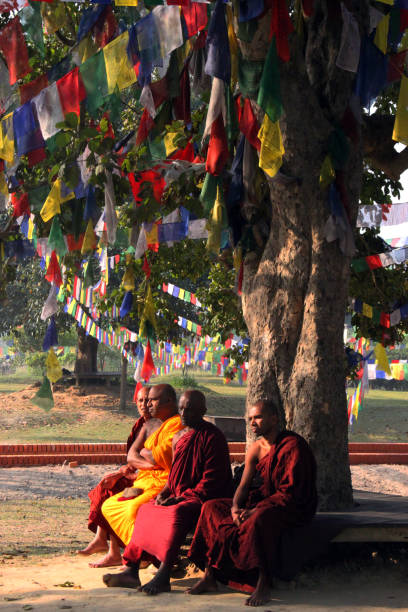 Nepal: Sermon at Lumbini Lumbini, Nepal - March 15, 2011: A group of monks sit under a tree to listen to a sermon by a monk at Lumbini. It is one of the major pilgrimage destinations for Buddhists (along with Sarnath, Kushinagar, and Bodh Gaya). The building is situated in Lumbini, a UNESCO World Heritage Site. All around it are the archeological remains of monasteries and temples built by Ashoka The Great in the 3rd Century BC. lumbini nepal photos stock pictures, royalty-free photos & images