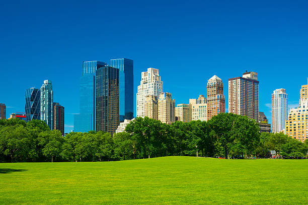 istock Midtown Manhattan buildings from Central Park 503132925