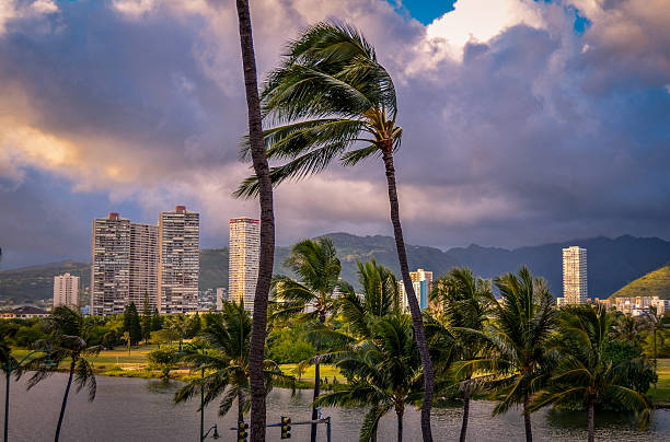 retro honolulu, hawaii, usa-skyline - tree wind palm tree hawaii islands stock-fotos und bilder