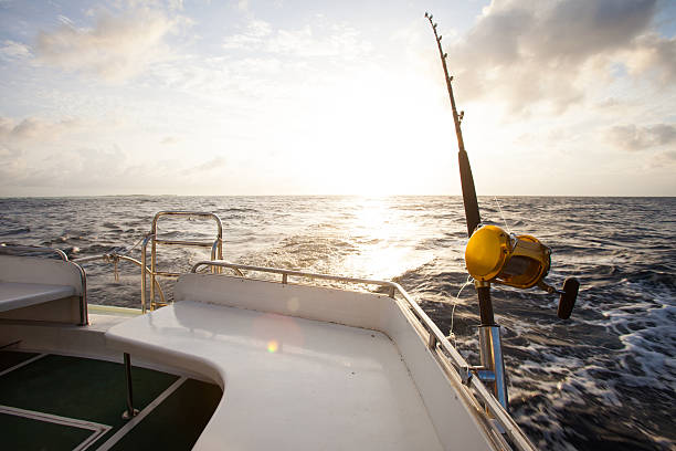 istock Gaming Fishing 503133283