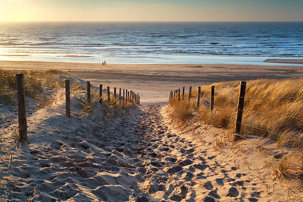 istock path to the sea at sunset 503133369