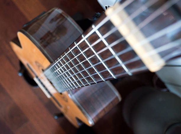 istock Overhead View of a Guitar Fret/Fingerboard and Strings 503133538
