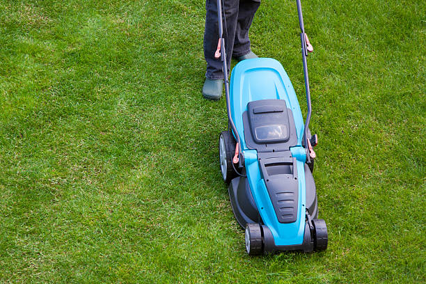 istock man with an electric mower on green grass 503136331