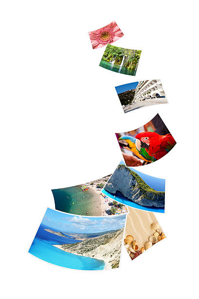 istock Photos of holiday on white background. 503137073