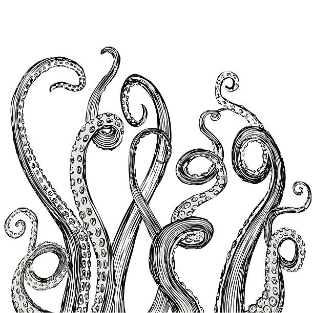 illustrations, cliparts, dessins animés et icônes de main dessinée vecteur tentacules en bois de style coupé brut - tentacule