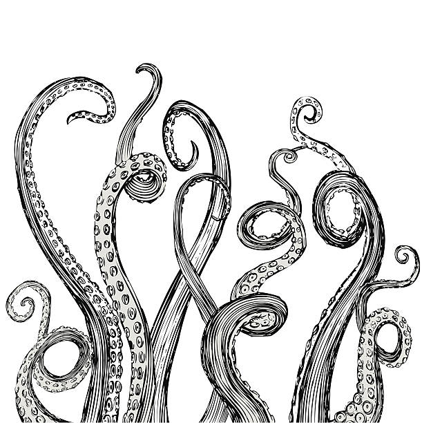 illustrazioni stock, clip art, cartoni animati e icone di tendenza di disegnati a mano vettoriale braccia in legno grezzo di stile - tentacle