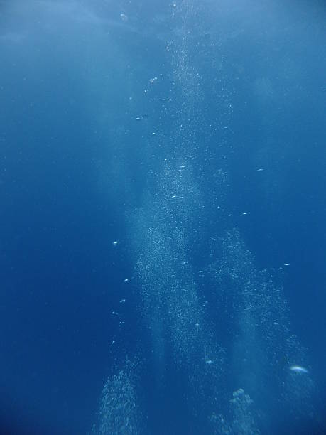 istock Air bubbles rising to surface of water 503137566