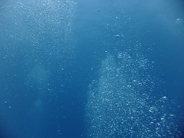 istock Air bubbles rising trough a column of water 503137618