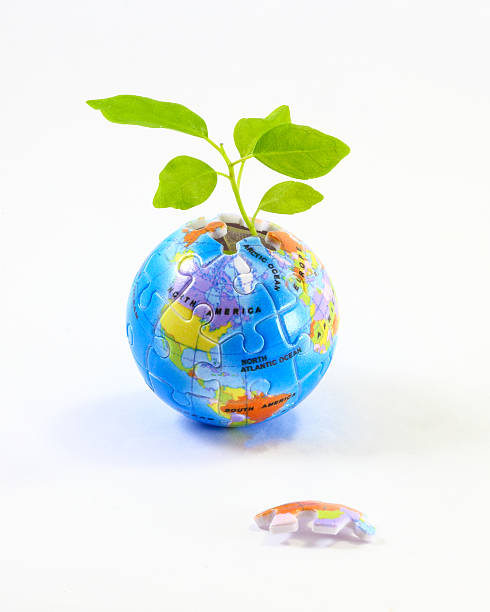 istock Plant coming trough incomplete jigsaw puzzle 503138512